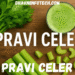 pravi celer
