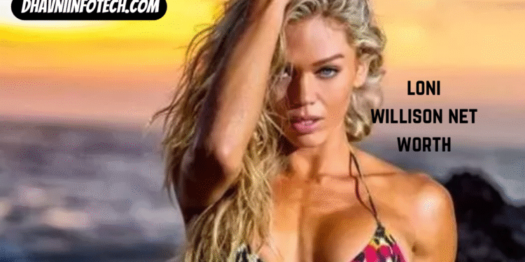 loni willison net worth