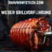 weber grillvorführung