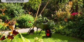 Garden Tips Decoradhouse